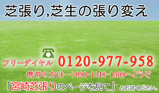 芝張り業者 宮崎市 宮崎 芝張り